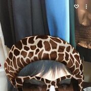 ���������� ������, ���� ������� �������, 55 ���, ������������ ��� ������, ����� � ���������