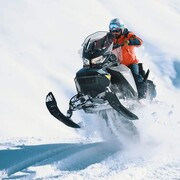 ���������� �������, ���� ������� Guga, 36 ���, ������������ ��� ������, ����� � ���������