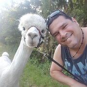 ���������� �������, ���� ������� �����, 39 ���, ������������ ��� ������, ����� � ���������, c�������� ���������