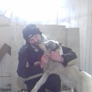 ���������� ������ �����, ���� ������� �������, 48 ���, ������������ ��� ������, ����� � ���������