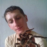 ,   , 37 ,   , 