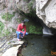 ���������� ������, ���� ������� PRINCE, 33 ����, ������������ ��� ����� � ���������, c�������� ���������