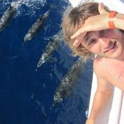 ���������� ������, ���� ������� �����, 37 ���, ������������ ��� ������