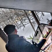 ���������� ������, ���� ����� Romeo, 23 ����, ������������ ��� ������, ����� � ���������