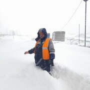 ���������� ��������, ���� ������� �����, 41 ���, ������������ ��� ������, ����� � ���������