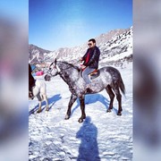 ���������� ������, ���� ������� ������, 35 ���, ������������ ��� ������, ����� � ���������, c�������� ���������