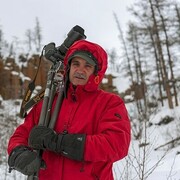 ���������� �������, ���� ������� ������, 62 ����, ������������ ��� ����� � ���������, c�������� ���������, ���������