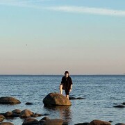 ���������� �����-���������, ���� ����� ����, 20 ���, ������������ 