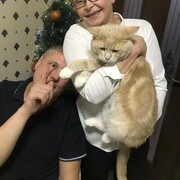  ,   , 61 ,   , 