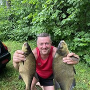 ���������� �����, ���� ������� ������, 53 ����, ������������ ��� ������, ����� � ���������, c�������� ���������, ���������