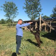  ,   Daryus, 45 ,   ,   