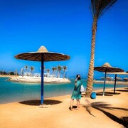 ���������� ������, ���� ������� Sofi, 36 ���, ������������ ��� c�������� ���������