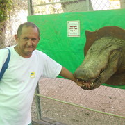 ,   , 52 ,   