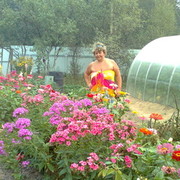 ���������� ������, ���� ������� Nata3773, 56 ���, ������������ ��� ������, ����� � ���������, c�������� ���������