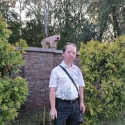 ���������� �������������, ������� ������, 40