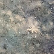 ���������� �����, ���� ������� ���, 37 ���, ������������ ��� ������, ����� � ���������