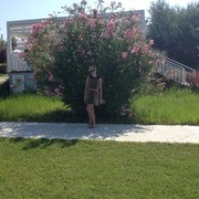 ���������� �����-���������, ���� ������� �������, 36 ���, ������������ ��� ������, ����� � ���������, c�������� ���������