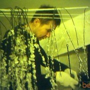 ���������� ������, ���� ������� ��������, 53 ����, ������������ ��� ������