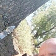 ���������� �������, ���� ������� ���������, 41 ���, ������������ ��� ������, ����� � ���������, c�������� ���������