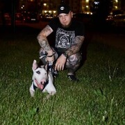 ���������� ������, ���� ������� �������, 35 ���, ������������ ��� ������, ����� � ���������, c�������� ���������, ���������