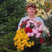 ���������� ���������, ���� ������� �������, 49 ���, ������������ ��� ����� � ���������, c�������� ���������