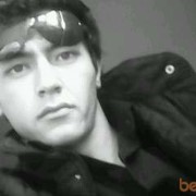  ,   OZOD, 81 ,   ,   , c 