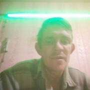 ���������� �����, ���� ������� ���������, 46 ���, ������������ ��� ������, ����� � ���������, c�������� ���������