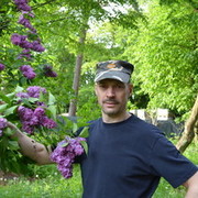 ���������� �����������, ���� ������� ������, 59 ���, ������������ 