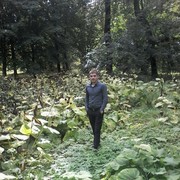 ���������� ������, ���� ������� ������, 36 ���, ������������ ��� ����� � ���������, c�������� ���������