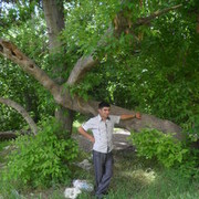 ���������� ������, ���� ������� TYOM, 34 ����, ������������ ��� ������, ����� � ���������, c�������� ���������