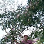 ���������� �����������, ���� ������� ��������, 55 ���, ������������ ��� c�������� ���������, ���������