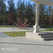  ,    , 45 ,   ,   