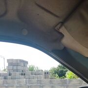 ���������� ��������, ���� ������� �����, 37 ���, ������������ ��� ������, ����� � ���������