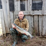 ���������� �����������, ���� ������� ������, 46 ���, ������������ ��� ������, ����� � ���������, c�������� ���������