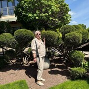 ���������� ������-��-����, ���� ������� �����, 50 ���, ������������ ��� ����� � ���������, c�������� ���������