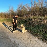 ���������� ������, ���� ������� ����, 36 ���, ������������ ��� ������, ����� � ���������