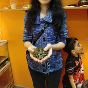  ,   , 34 ,   