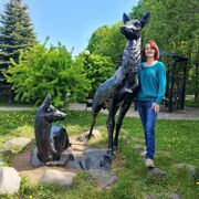 ���������� �������������-����������, ���� ������� �����, 48 ���, ������������ ��� ������, c�������� ���������, ���������