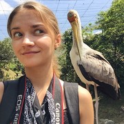 ���������� ������, ���� ������� ����, 32 ����, ������������ ��� ������, ����� � ���������, c�������� ���������, ���������