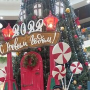 ���������� ������, ���� ������� �������, 39 ���, ������������ ��� ������, ����� � ���������