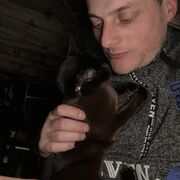  -,   , 37 ,   ,   