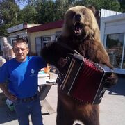 ���������� ������ ��������, ���� ������� ����, 44 ����, ������������ ��� ������, ����� � ���������