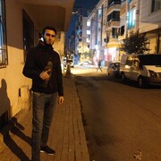 ���������� ������, ���� ������� ����, 36 ���, ������������ ��� ������, ����� � ���������