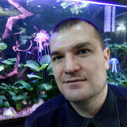 ���������� �����������, ���� ������� Jeka, 48 ���, ������������ ��� ������, ����� � ���������, c�������� ���������