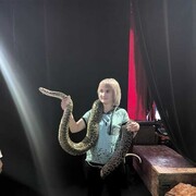 ���������� ������, ���� ������� ���, 47 ���, ������������ ��� ������, ����� � ���������, c�������� ���������