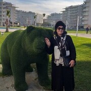  ,   , 62 ,  