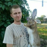  ,   , 32 ,   