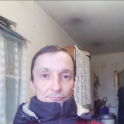   ,   , 49 ,   
