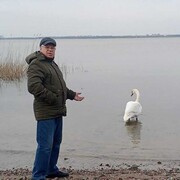  ,   , 62 ,  