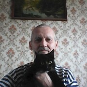   ,   , 62 ,   ,   